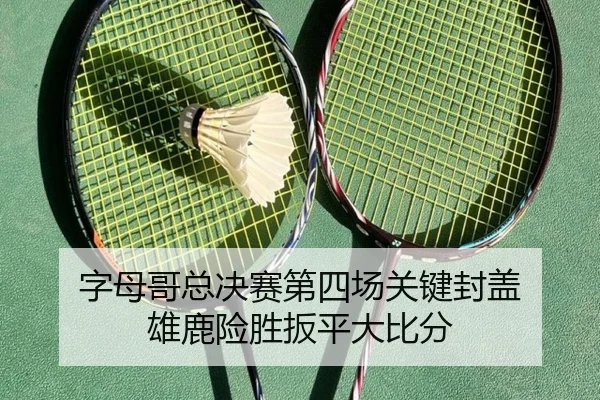 字母哥总决赛第四场关键封盖 雄鹿险胜扳平大比分